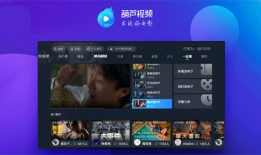 电视 视频,电视视频内容深度解析